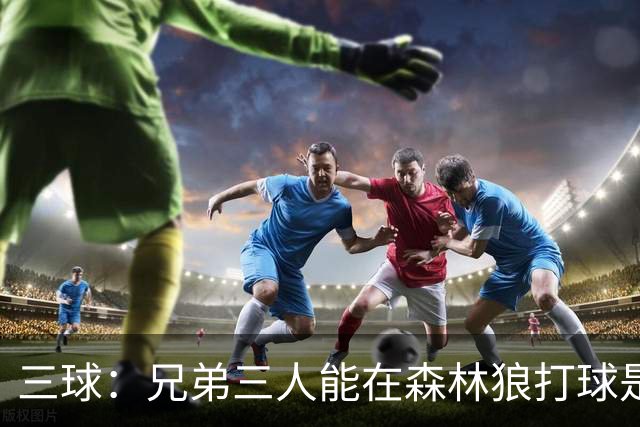 三球：兄弟三人能在森林狼打球是梦想成真 到时让大球打控卫