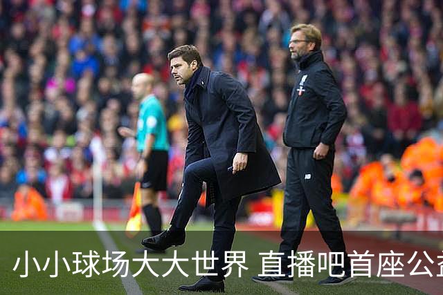 小小球场大大世界 直播吧首座公益足球场在贵州落成