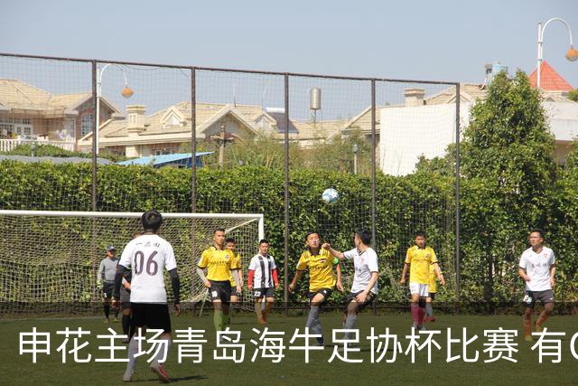 申花主场青岛海牛足协杯比赛 有CCTV5直播