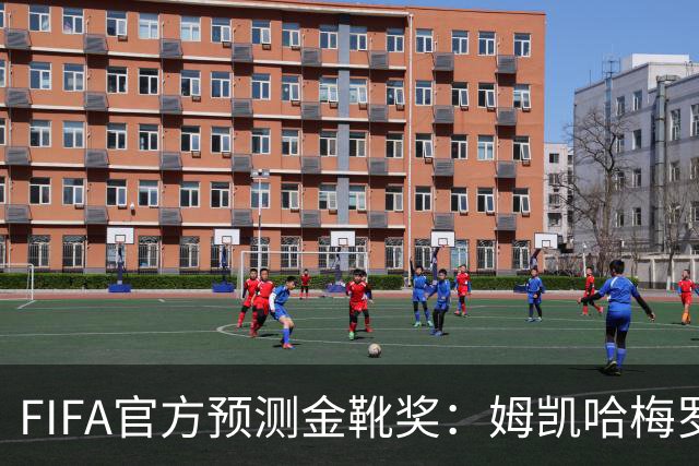 FIFA官方预测金靴奖：姆凯哈梅罗登 西班牙巴西各2席